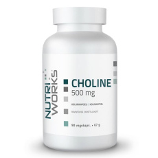 Choline 500 mg 90 kapslí