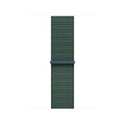 Watch Acc/42/Lake Green Sport Loop