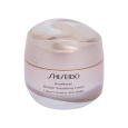 Shiseido Benefiance