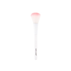 Wet n Wild Brushes Blush