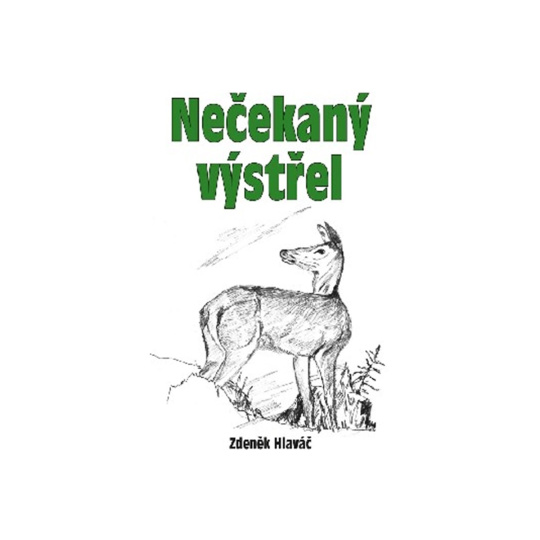 Nečekaný výstřel