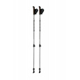 Trekové hole Blizzard Alu Performance Nordic Walking silver/black