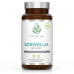 Cytoplan Boswellia kloubní výživa 400 mg, 60 vegan kapslí>