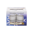 Yankee Candle Midnight Jasmine