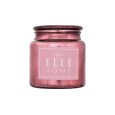 Elle Home Figuier