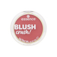 Essence Blush Crush!