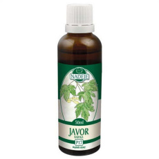 Naděje Javor z pupenů 50ml 40%