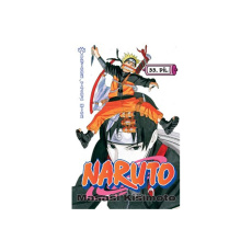 Naruto 33: Přísně tajná mise