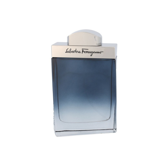 Ferragamo Subtil Pour Homme