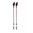 Trekové hole Blizzard Alu Performance Nordic Walking anthracite/red