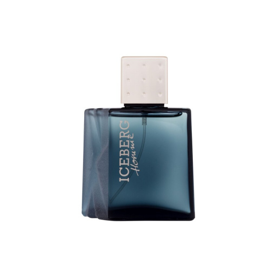 Iceberg Homme