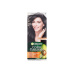 Garnier Color Naturals